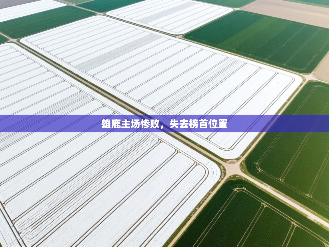 雄鹿主场惨败，失去榜首位置  第1张