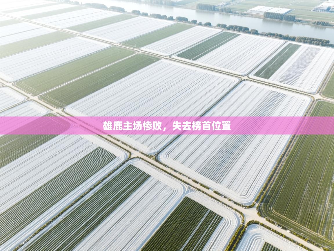 雄鹿主场惨败，失去榜首位置  第2张