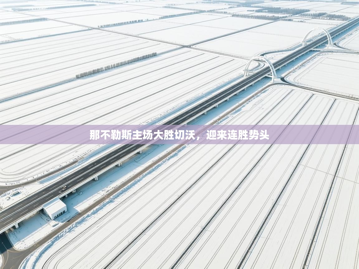 那不勒斯主场大胜切沃，迎来连胜势头  第2张