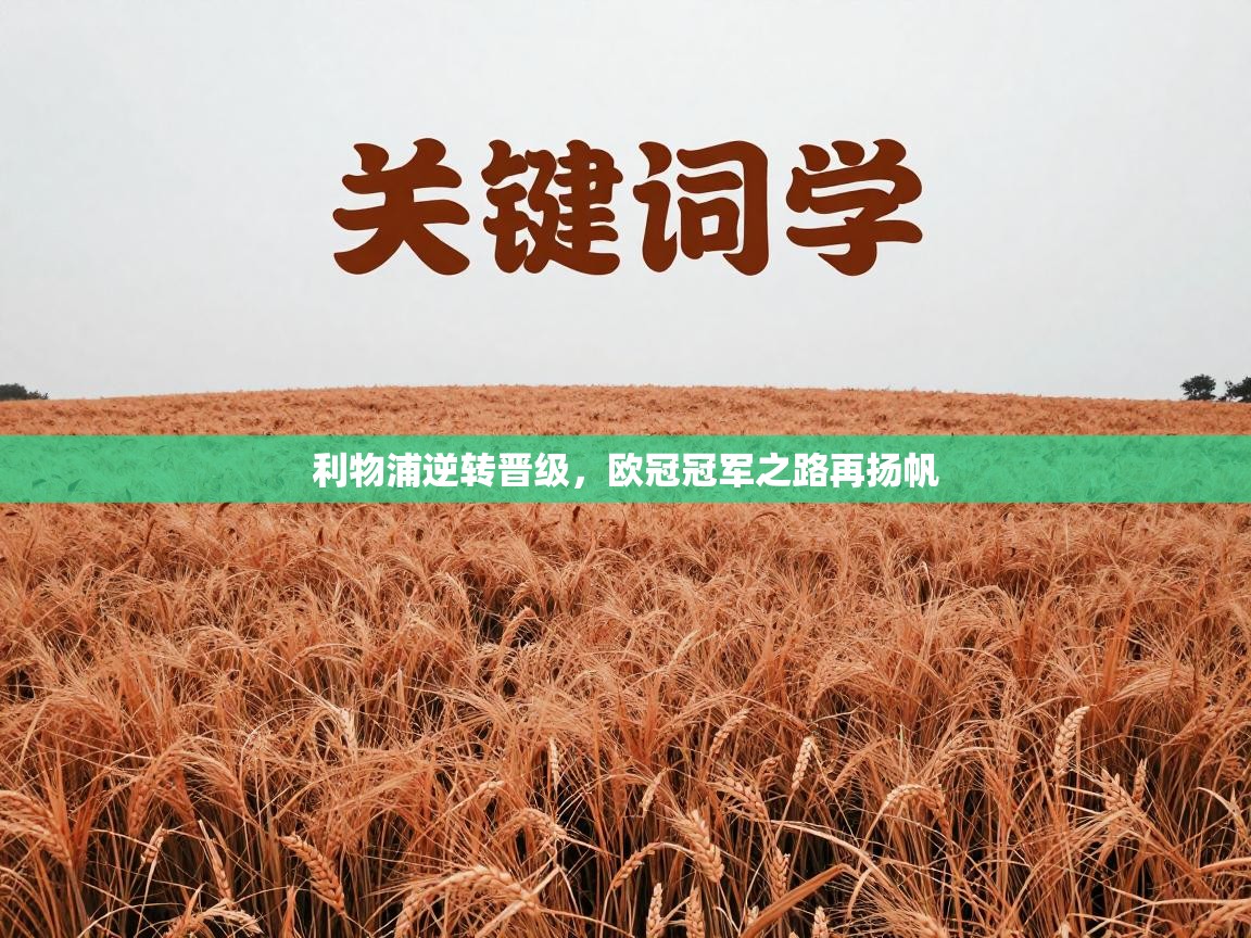 利物浦逆转晋级,欧冠冠军之路再扬帆 第2张