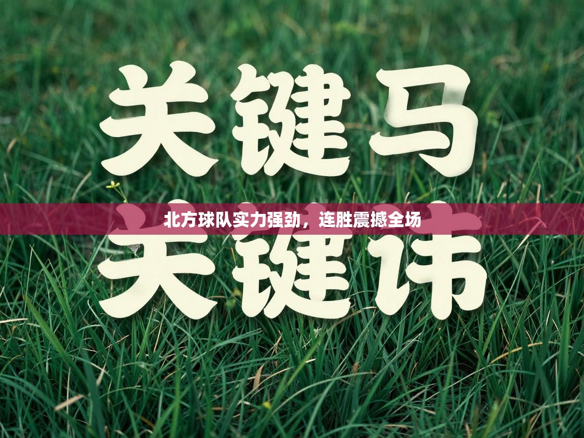 北方球队实力强劲，连胜震撼全场  第1张