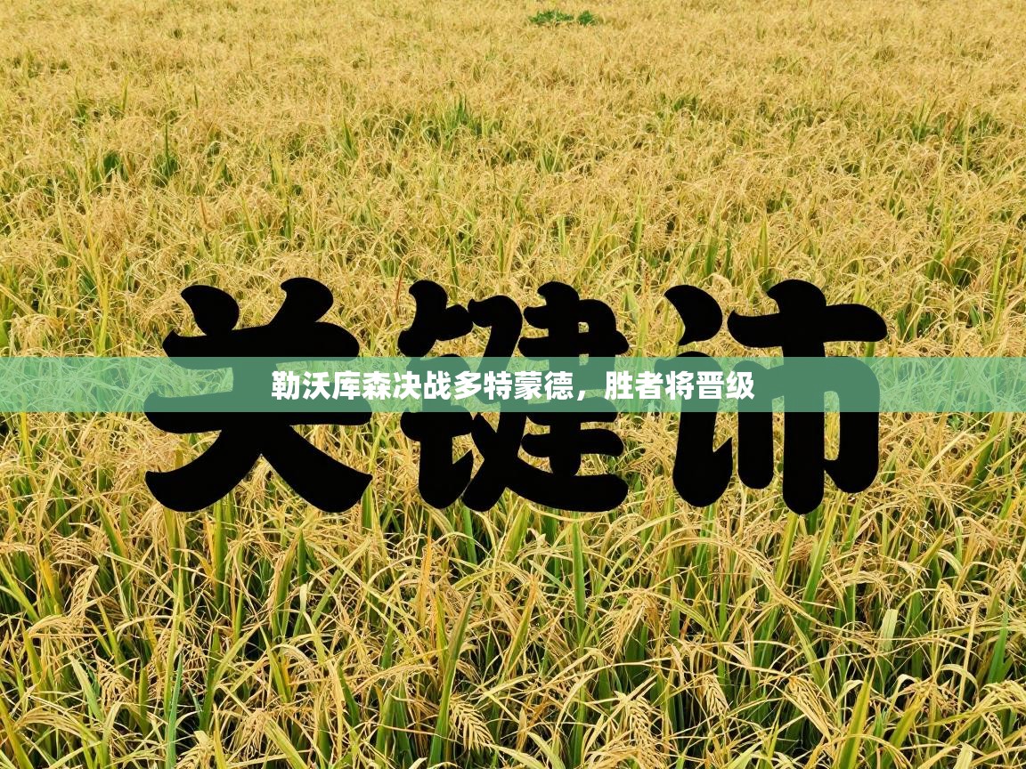 勒沃库森决战多特蒙德,胜者将晋级 第1张