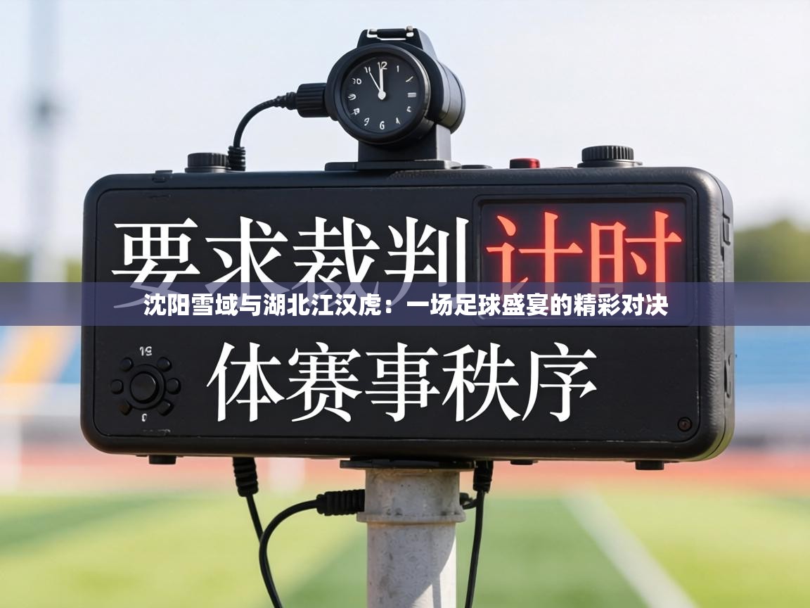 沈阳雪域与湖北江汉虎：一场足球盛宴的精彩对决  第1张