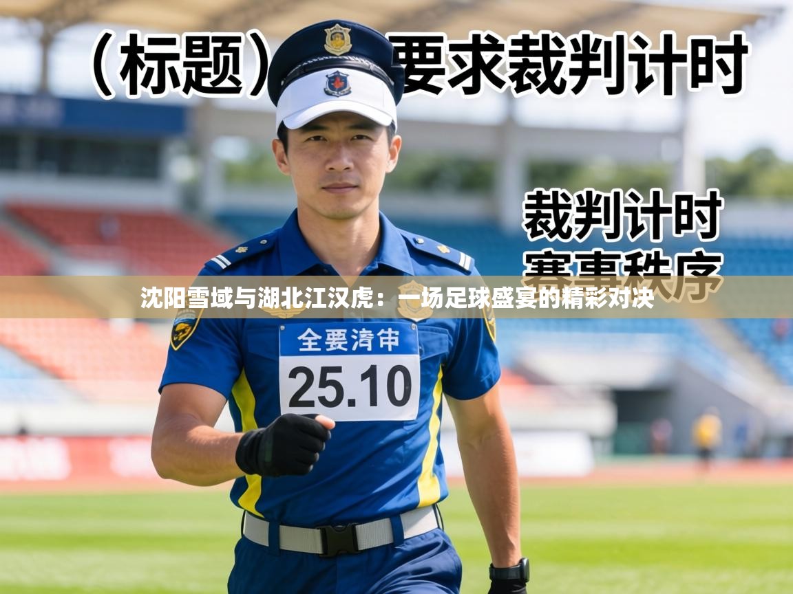 沈阳雪域与湖北江汉虎：一场足球盛宴的精彩对决  第2张